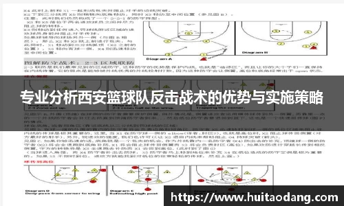 bsports登录入口