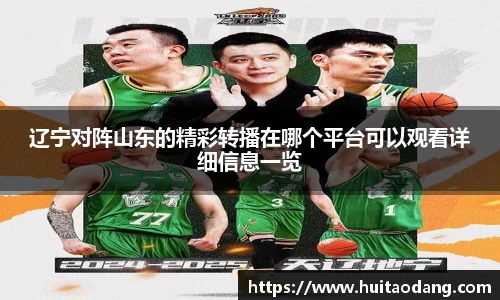 bsports登录入口