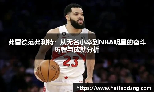 bsports登录入口