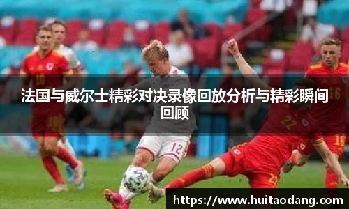 法国与威尔士精彩对决录像回放分析与精彩瞬间回顾