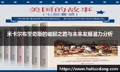 米卡尔布里奇斯的崛起之路与未来发展潜力分析