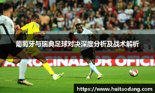 bsports登录入口