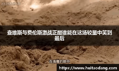 查维斯与费伦斯激战正酣谁能在这场较量中笑到最后