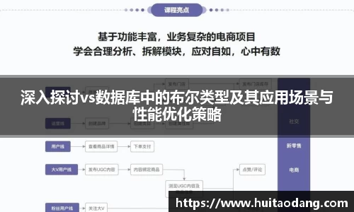 深入探讨vs数据库中的布尔类型及其应用场景与性能优化策略