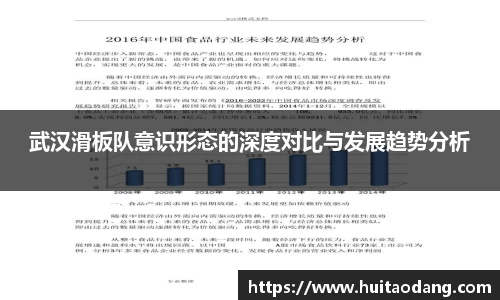 武汉滑板队意识形态的深度对比与发展趋势分析