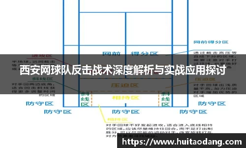 bsports官网入口