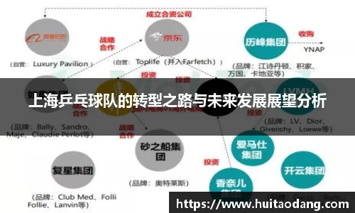 上海乒乓球队的转型之路与未来发展展望分析